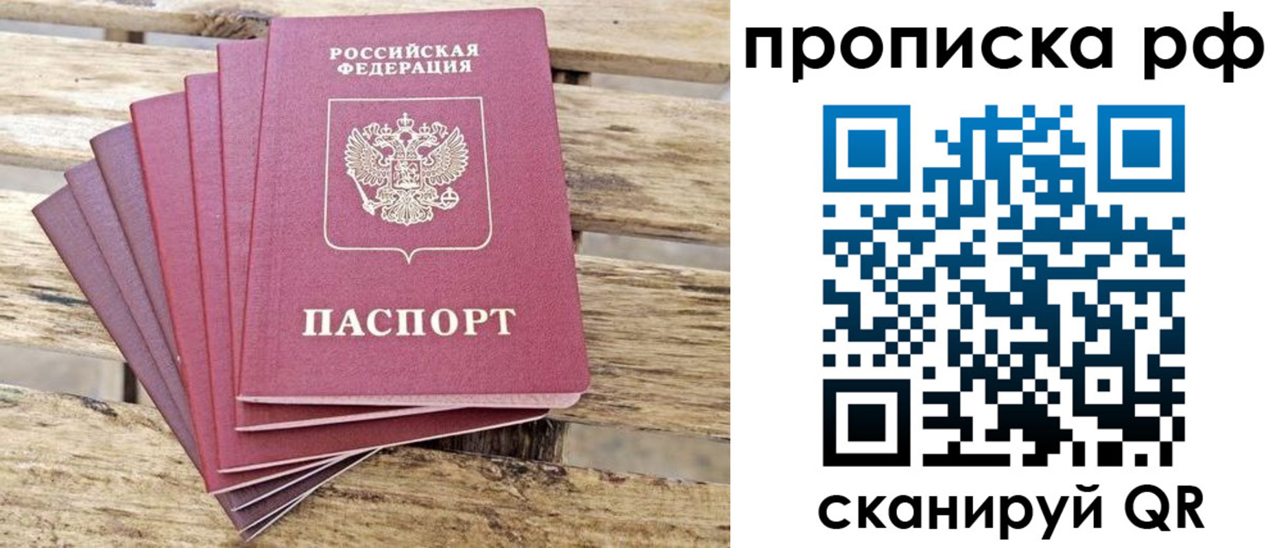 прописка гарантия в Мурино